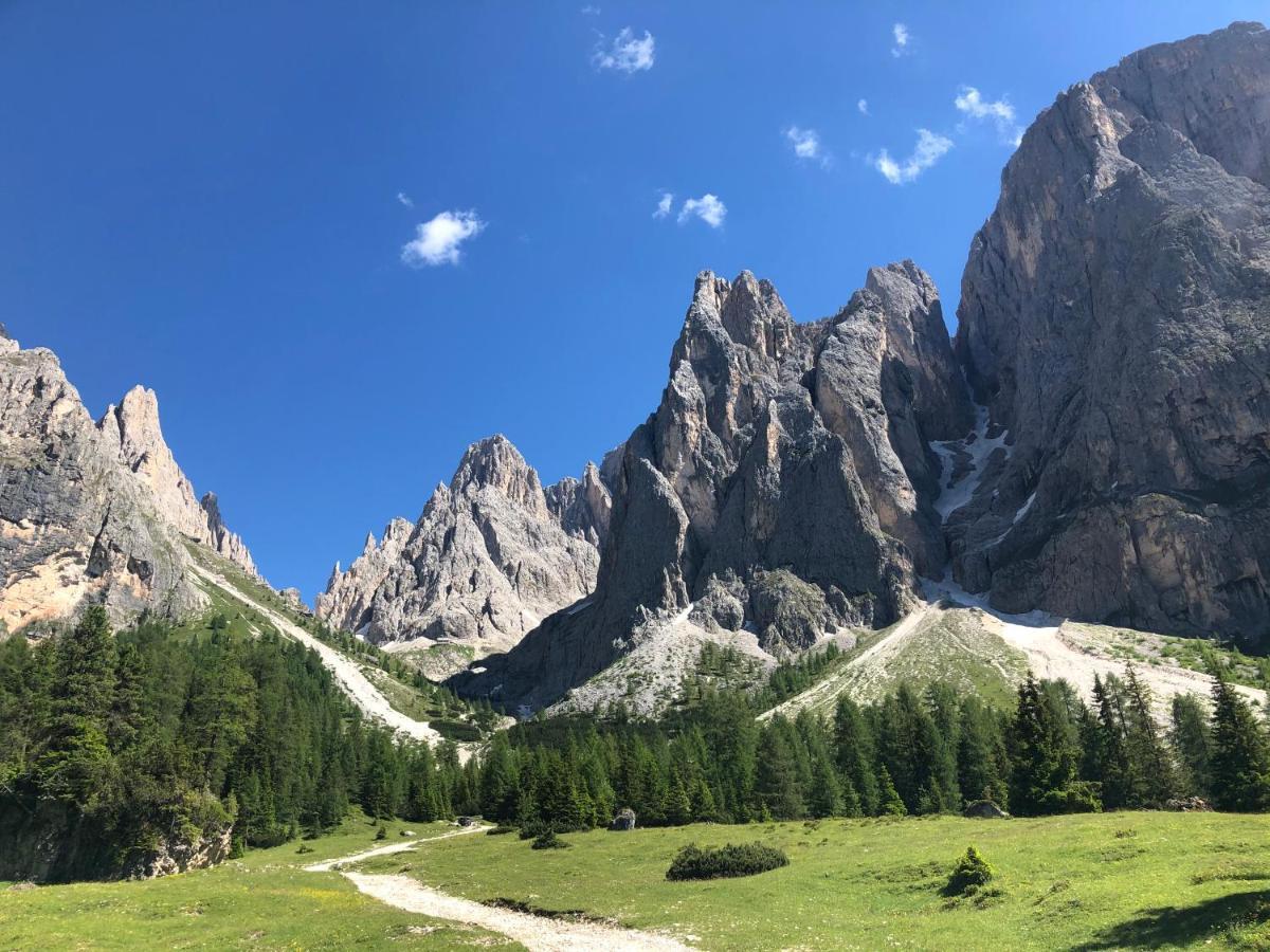 B&B Marina Contacless Check In Santa Cristina Val Gardena Extérieur photo
