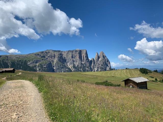 B&B Marina Contacless Check In Santa Cristina Val Gardena Extérieur photo